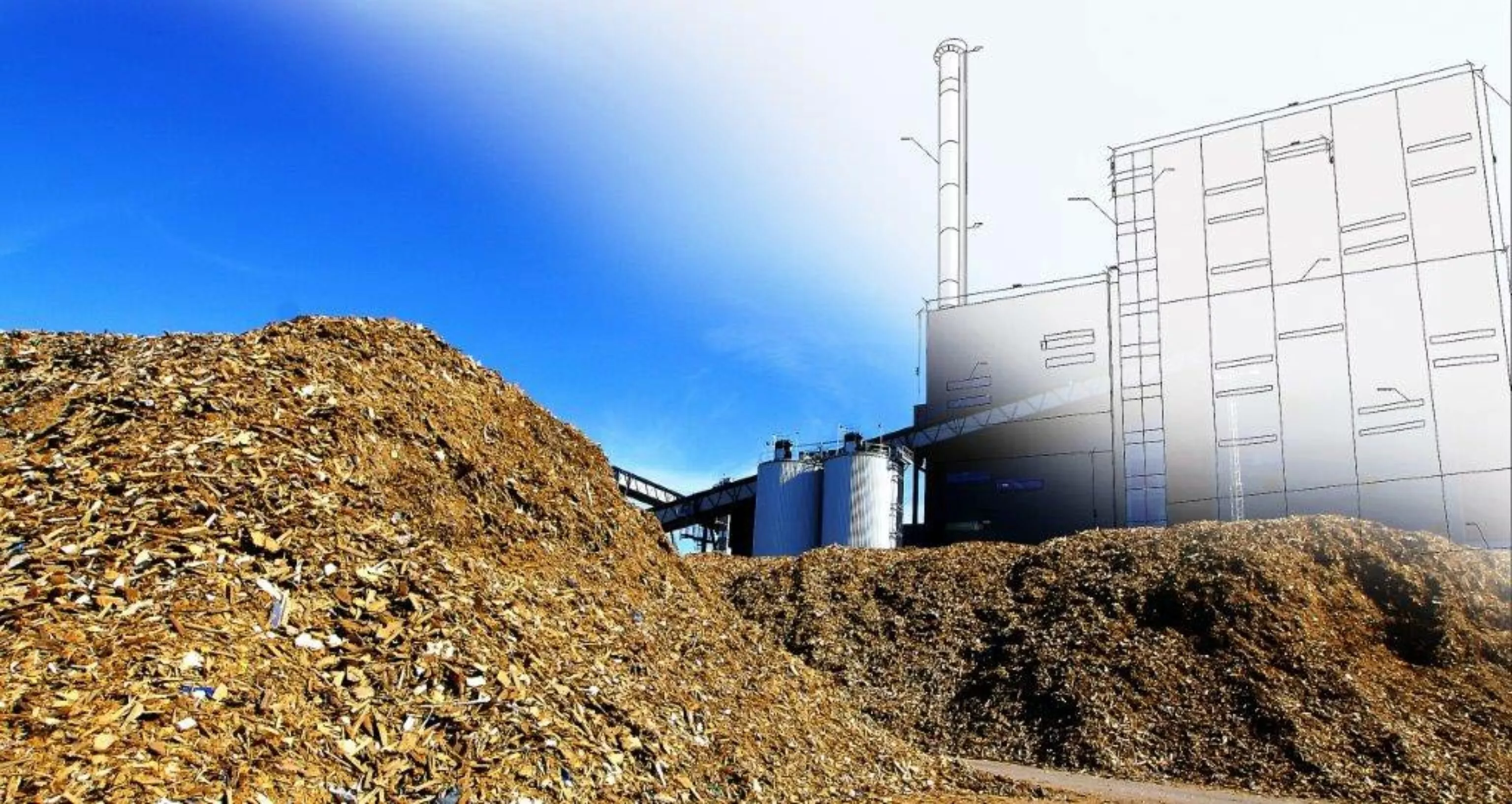 Audit pour la création de centrales biomasse