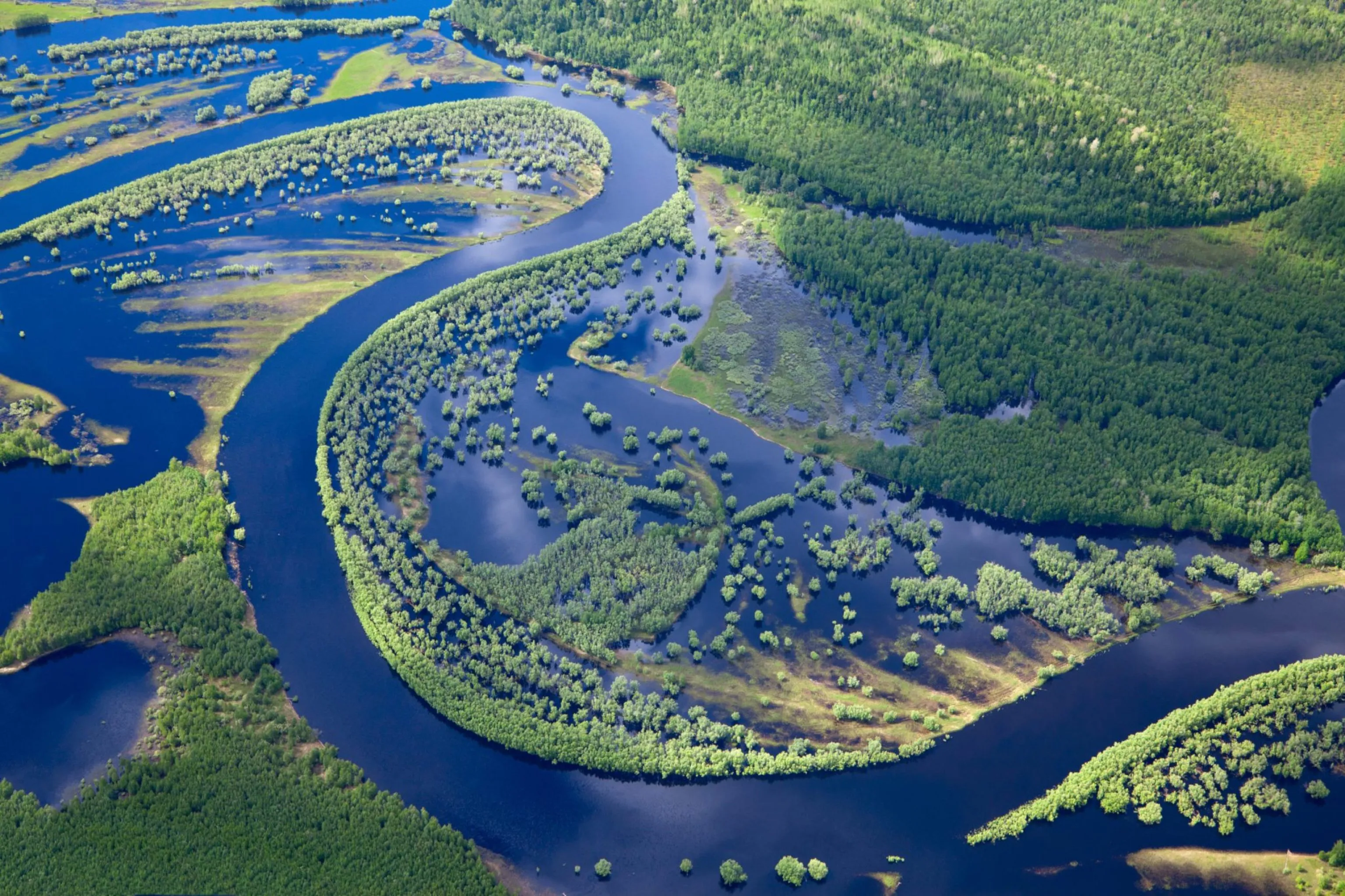 Vue aérienne de paysages de forêts entourés d'eau