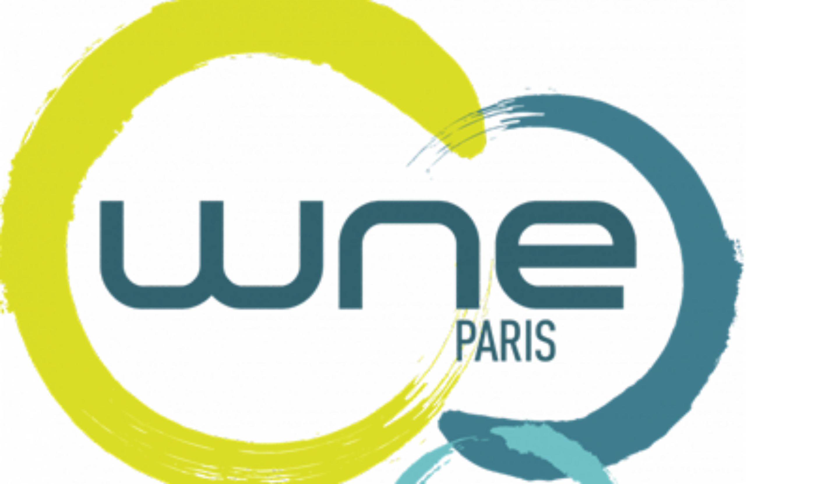 Salon WNE logo
