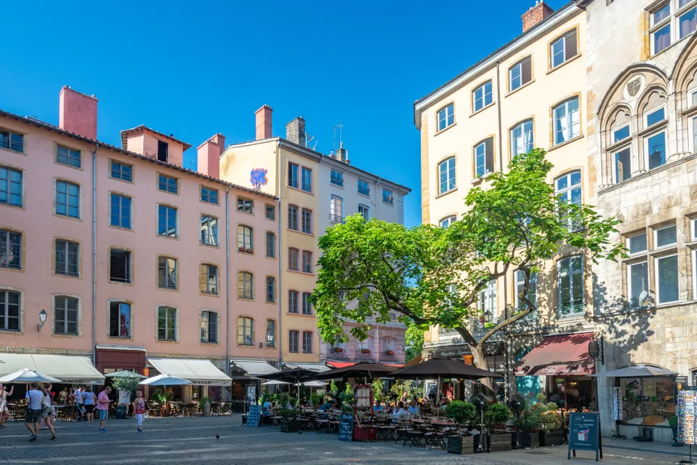 Végétation à Lyon